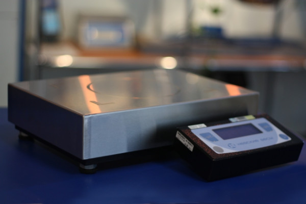 Весы лабораторные ВМ