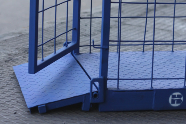 ВесыВСП4-ЖсО (2)