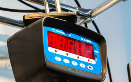 Крановые весы ВСК-А (500 килограмм)