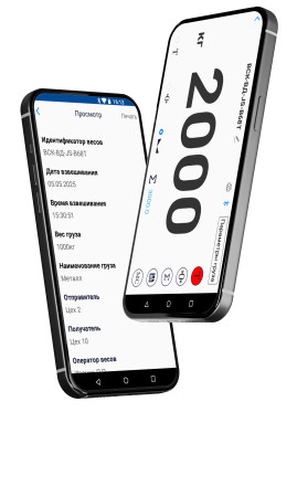 Крановые весы ВСК-ВД (10 тонн, Bluetooth)