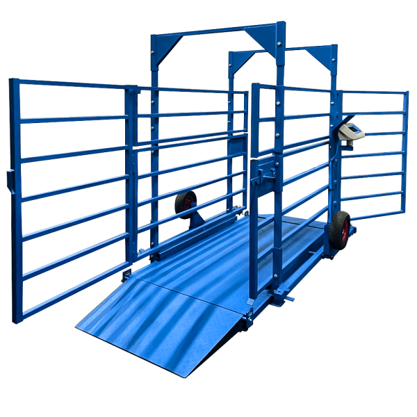 Весы для взвешивания КРС ВСП4-ЖСО