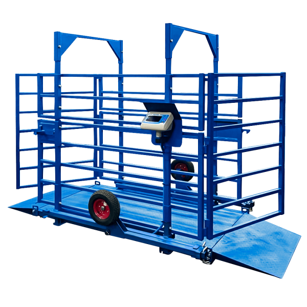 Весы для взвешивания КРС ВСП4-ЖСО